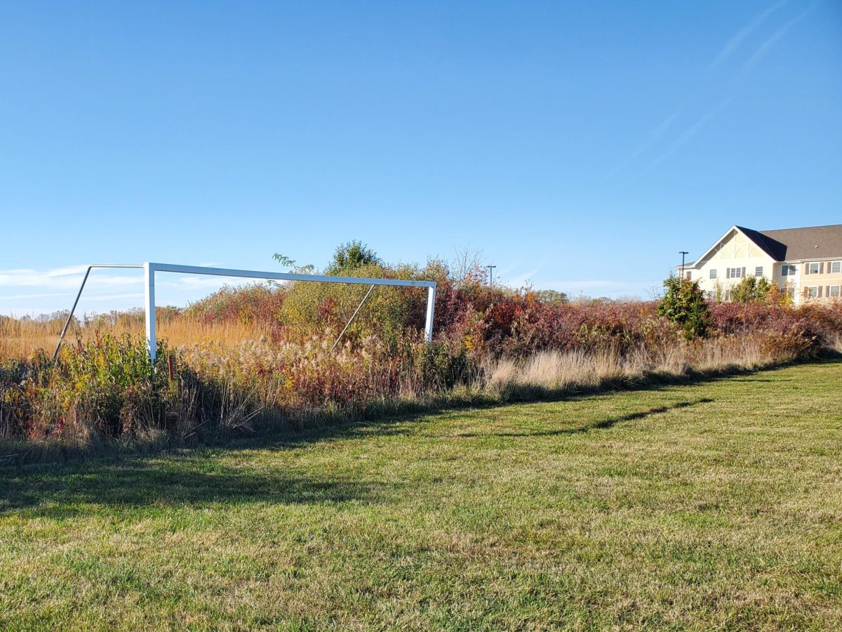 'GSU soccer fields coming soon,' administrators say