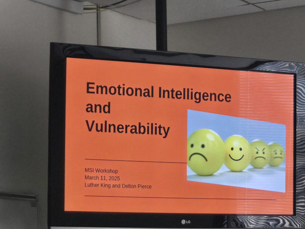 Opening slide to the MSI Emotional Intelligience presentation.